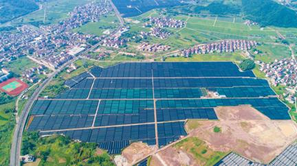 图片 1.png 图片 1.png